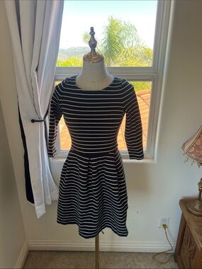 Banana Republic Black & White Striped Fit-and-Flare Dress